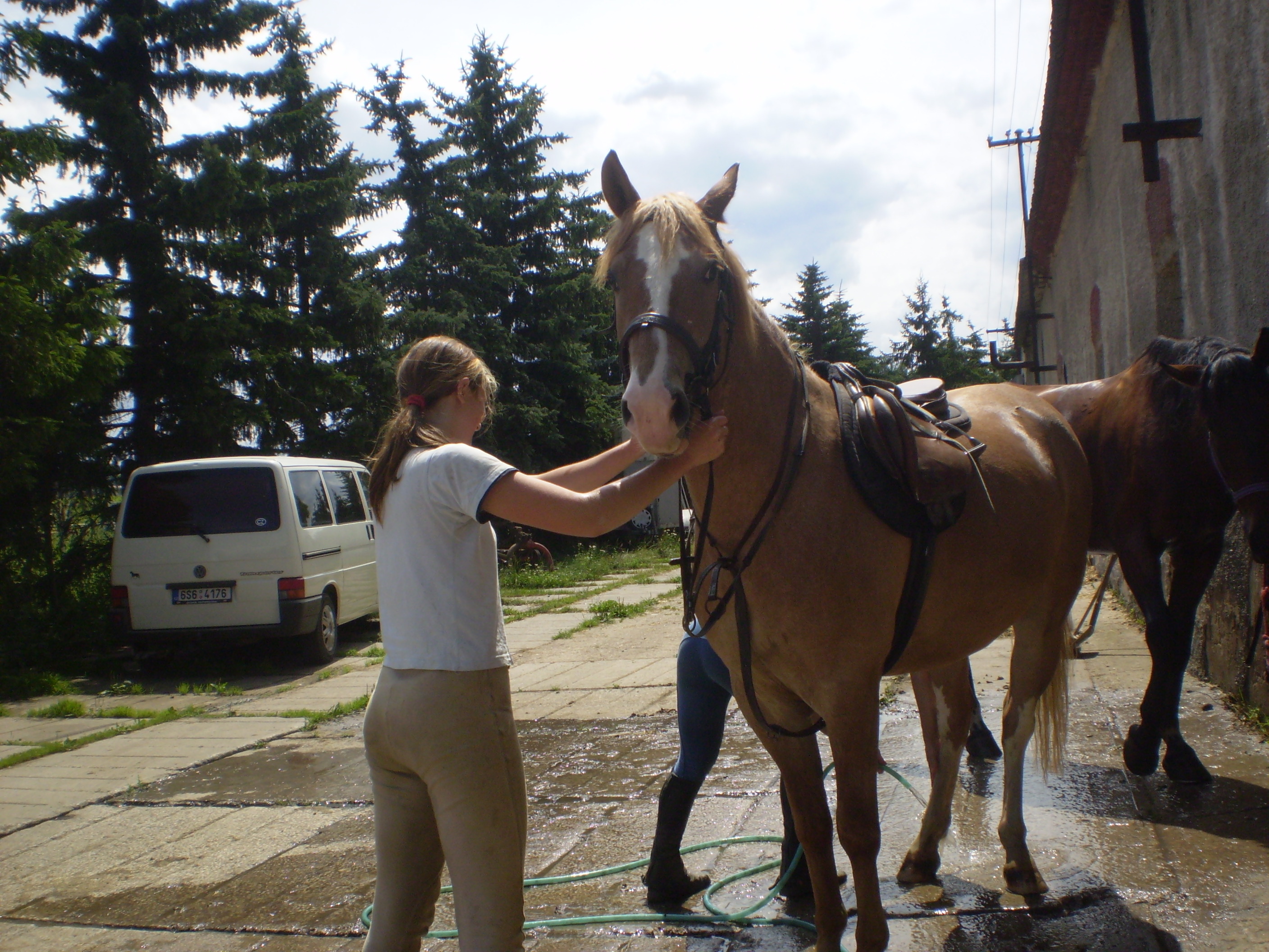 P1010871.JPG