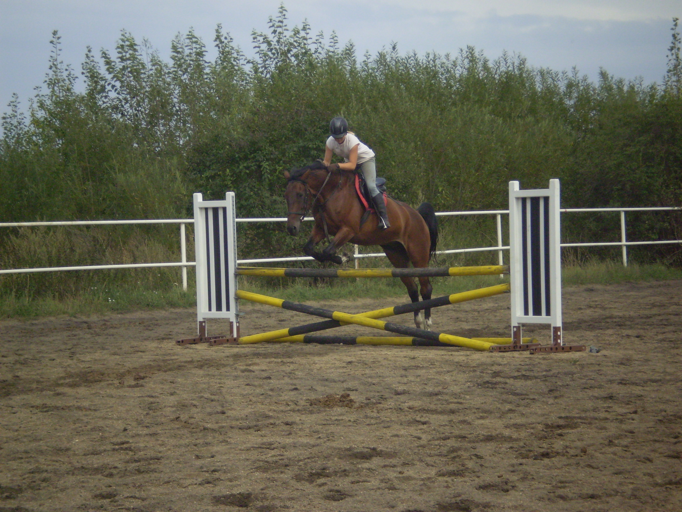 P1010895.JPG