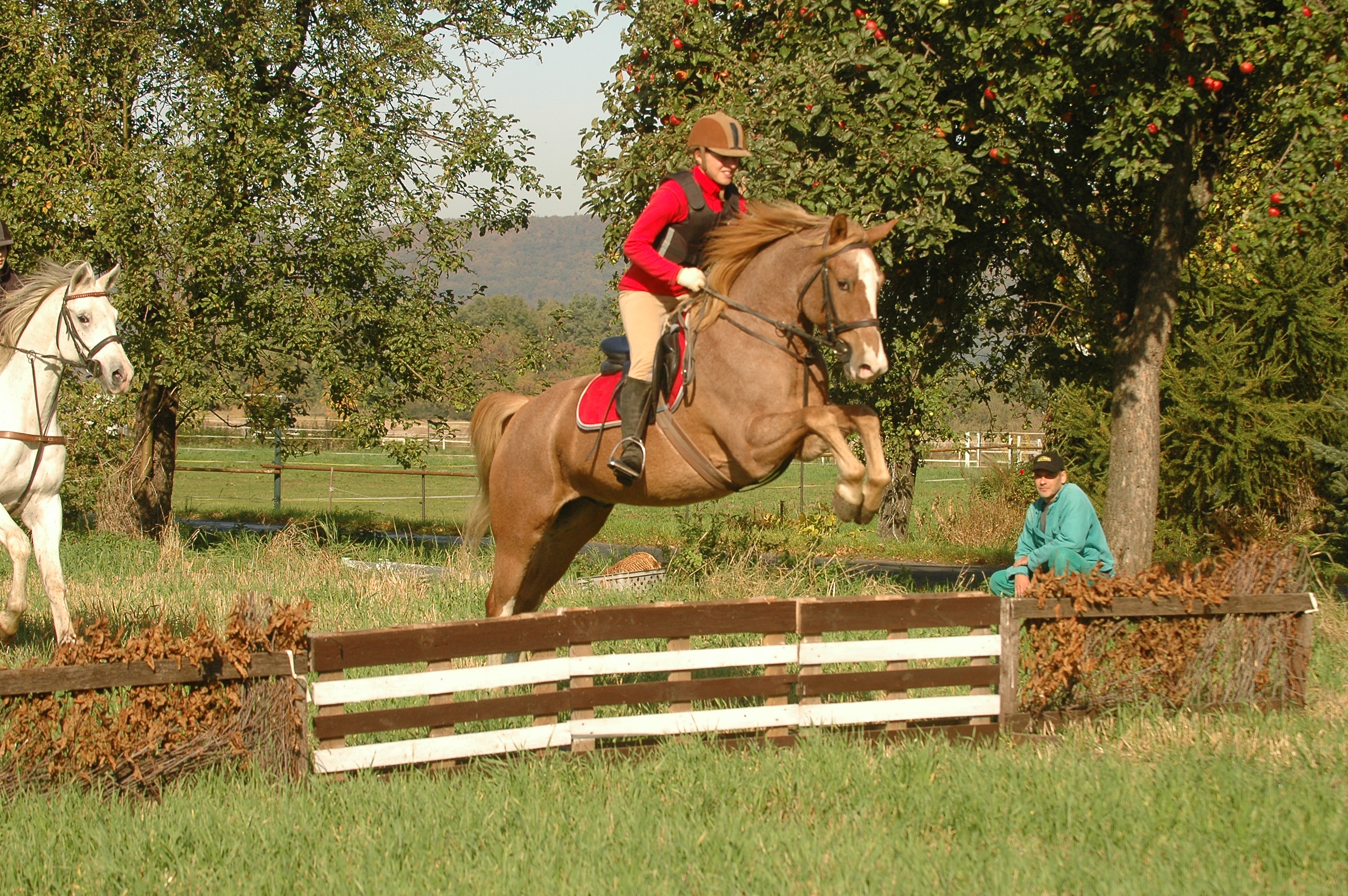 Hubert 010 117.JPG