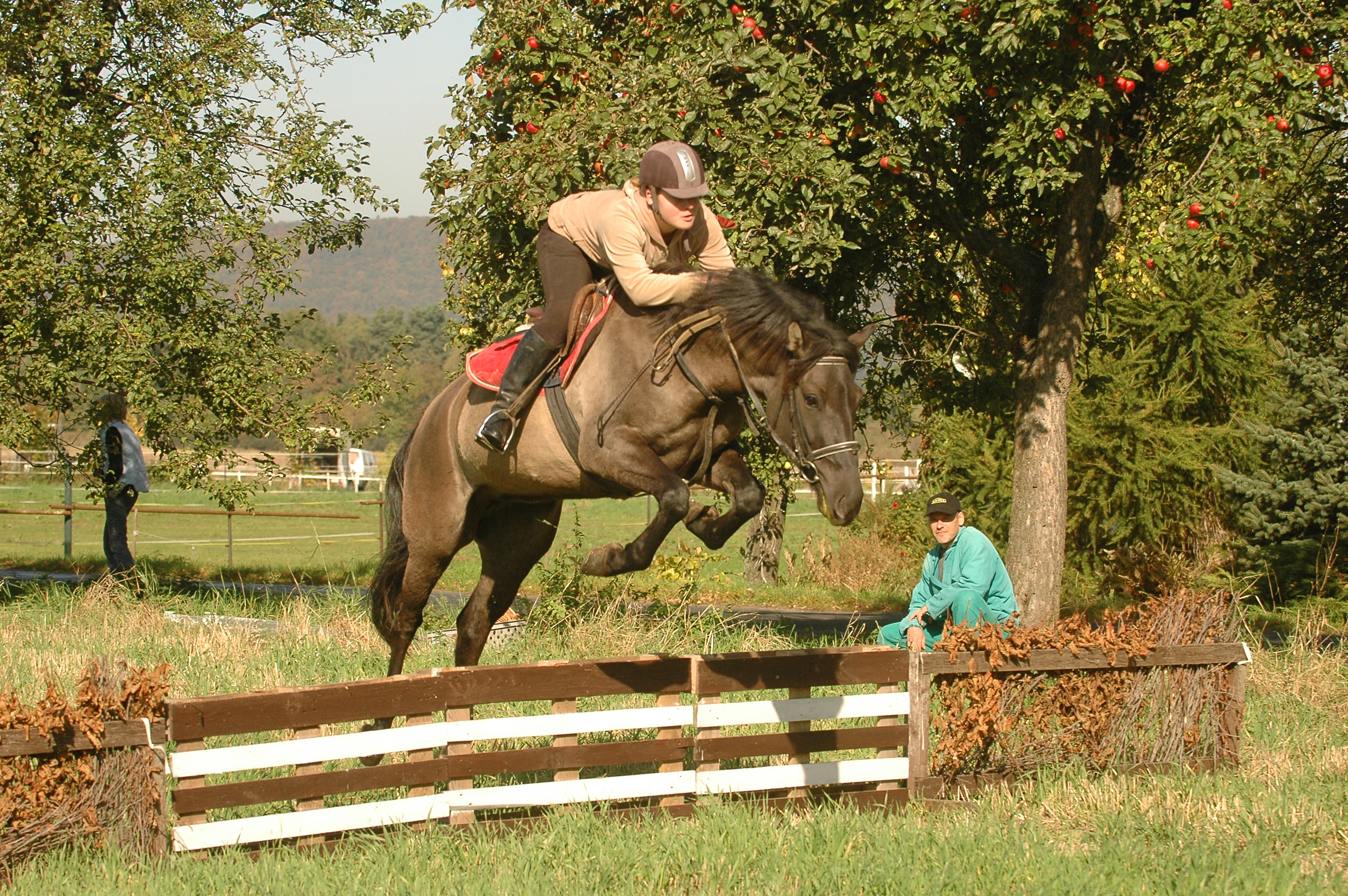 Hubert 010 172.JPG